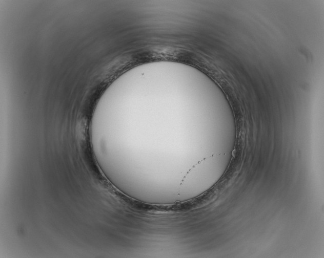X0000113860649200909241026