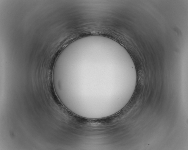 X0000113860650200909241026