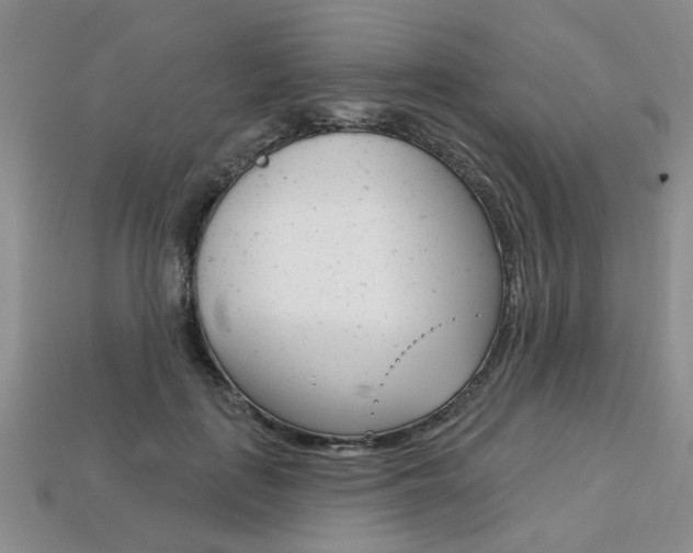 X0000113860651200909241026