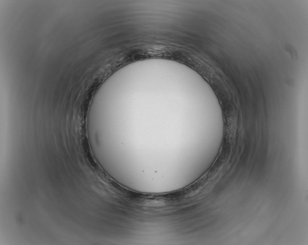 X0000113860653200909241026
