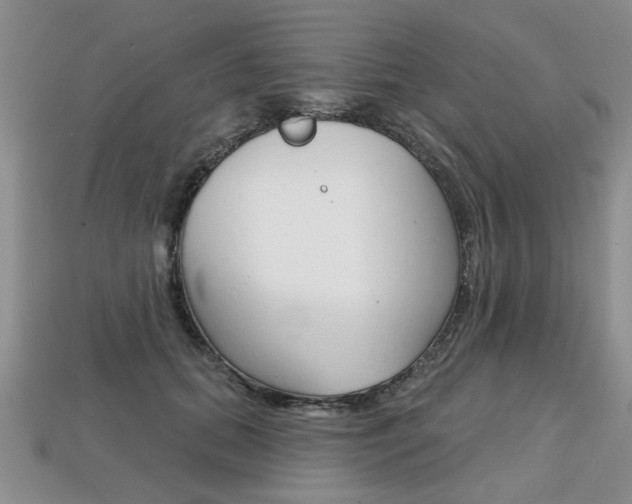 X0000113860655200909241026