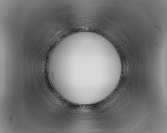 X0000113860656200909241026