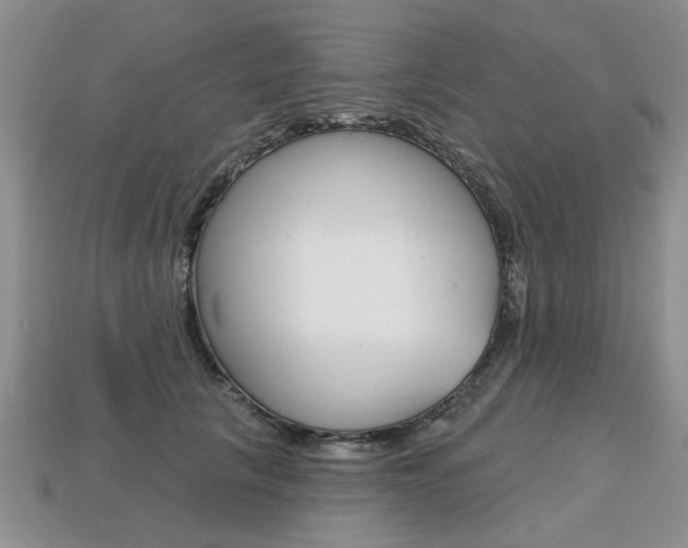 X0000113860657200909241026