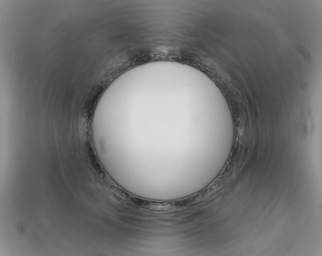 X0000113860659200909241026