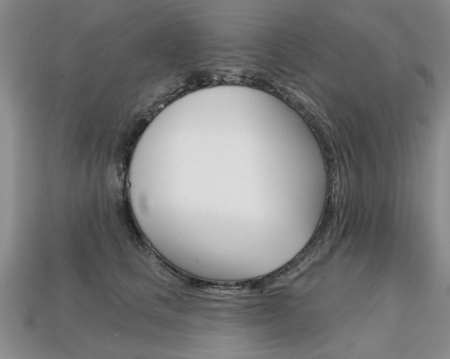 X0000113860661200909241026