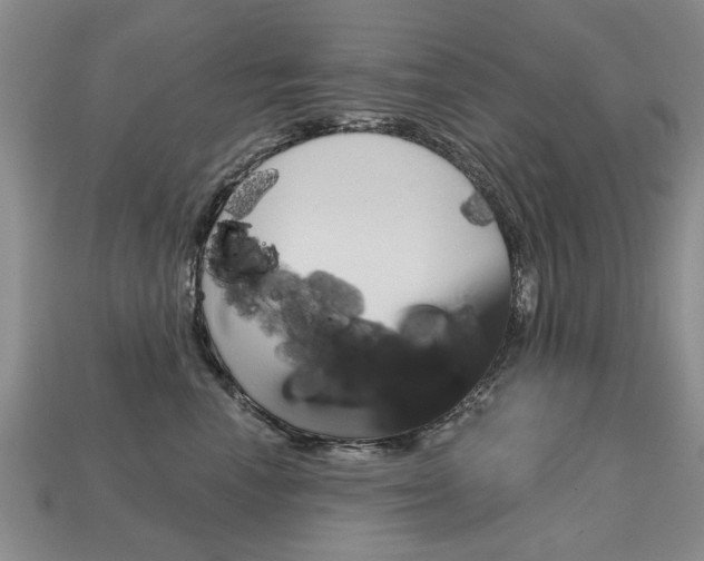 X0000113860666200909241026