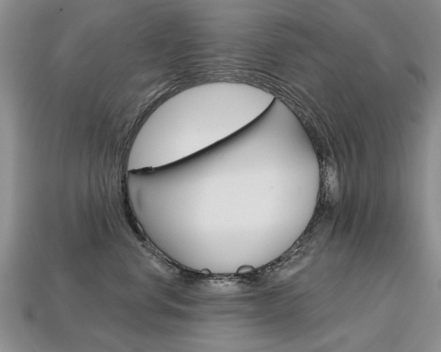 X0000113860668200909241026