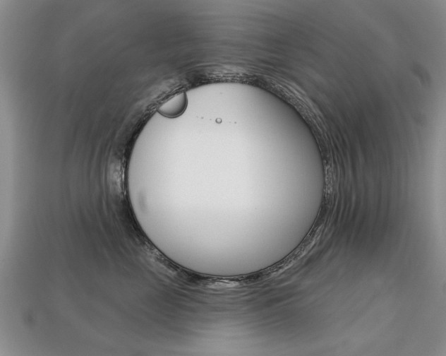 X0000113860669200909241027