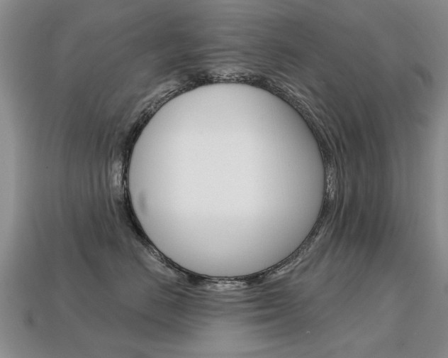 X0000113860670200909241027