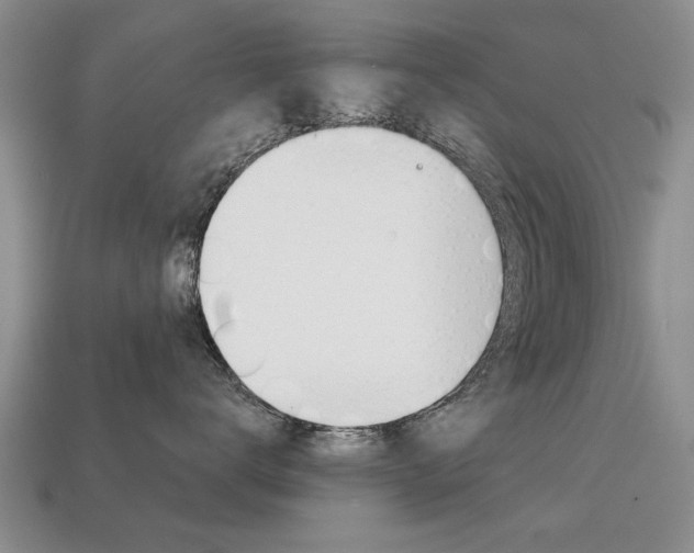 X0000113860672200909241027