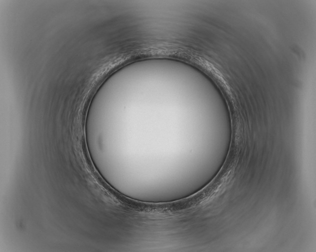 X0000113860673200909241026
