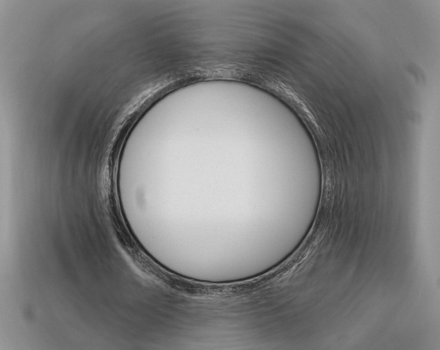 X0000113860674200909241026