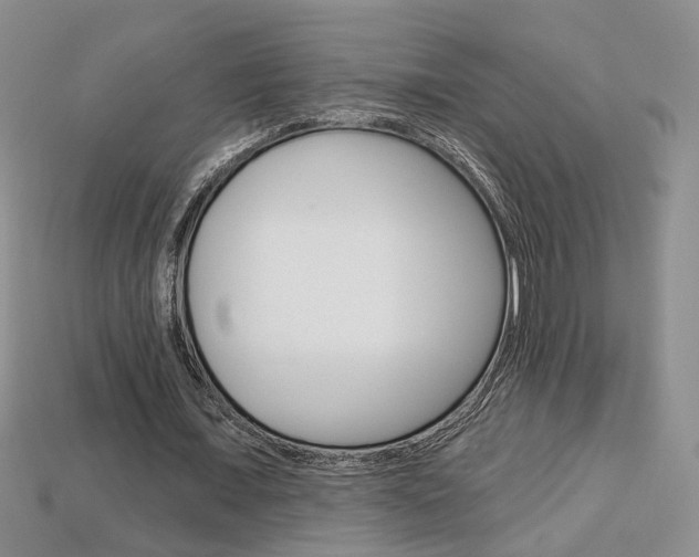 X0000113860675200909241026
