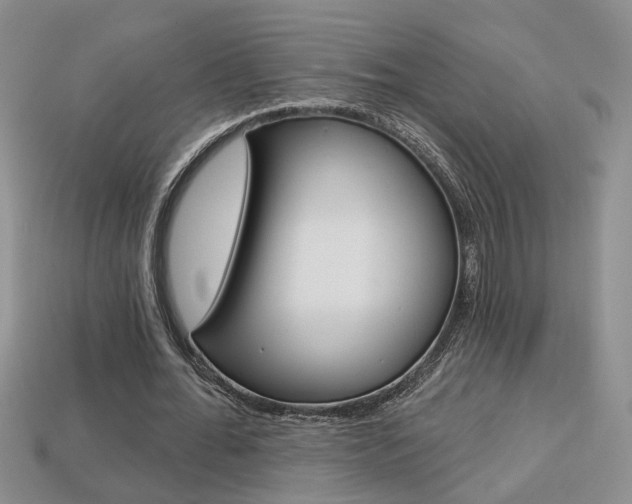 X0000113860676200909241026