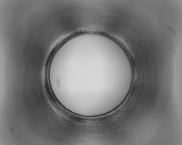 X0000113860678200909241026