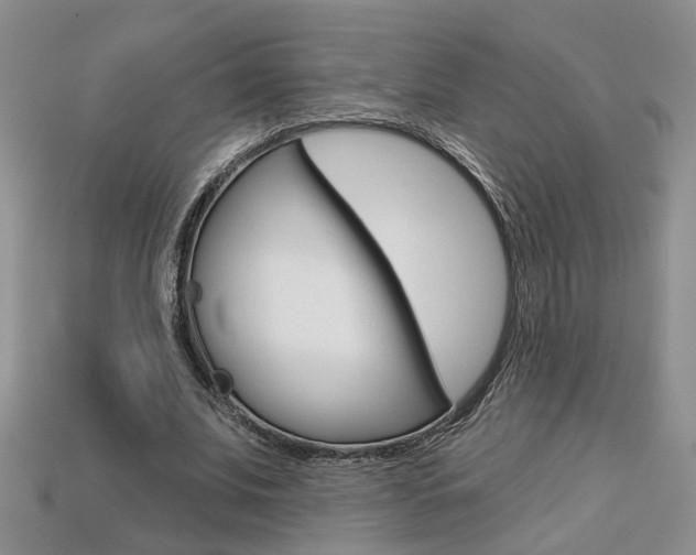 X0000113860679200909241026