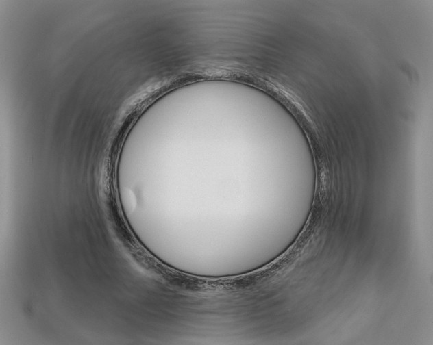 X0000113860682200909241026