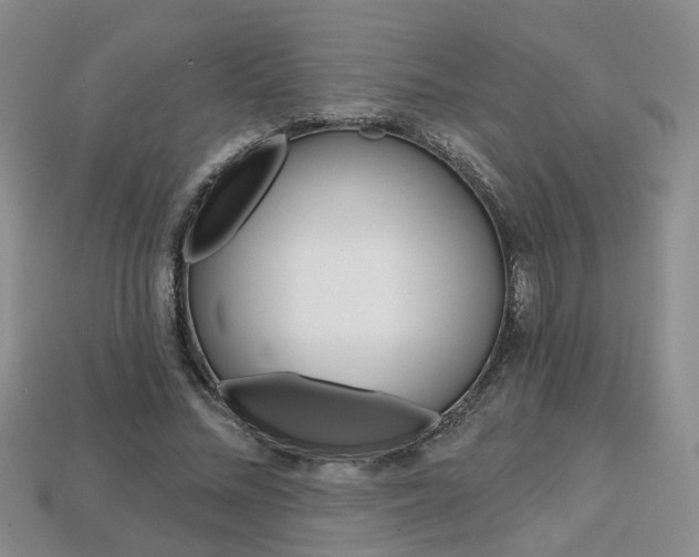 X0000113860684200909241026