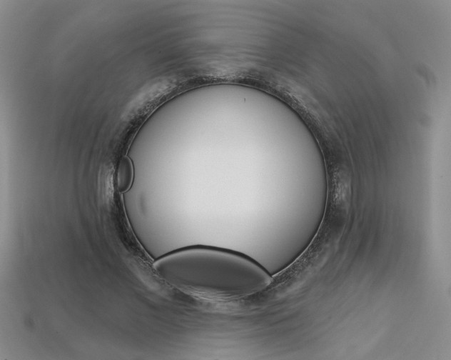 X0000113860685200909241026