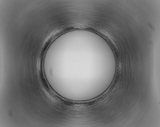 X0000113860686200909241026