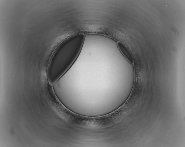 X0000113860688200909241026