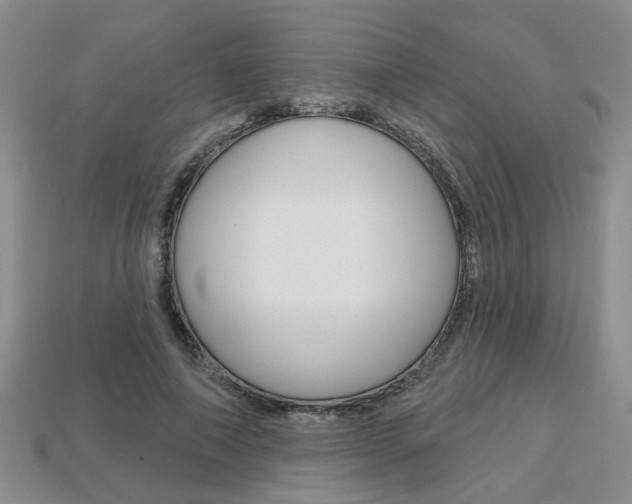 X0000113860690200909241026