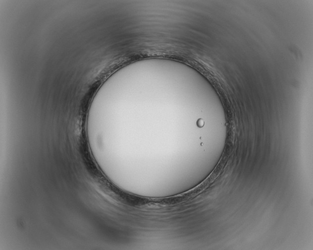 X0000113860691200909241026
