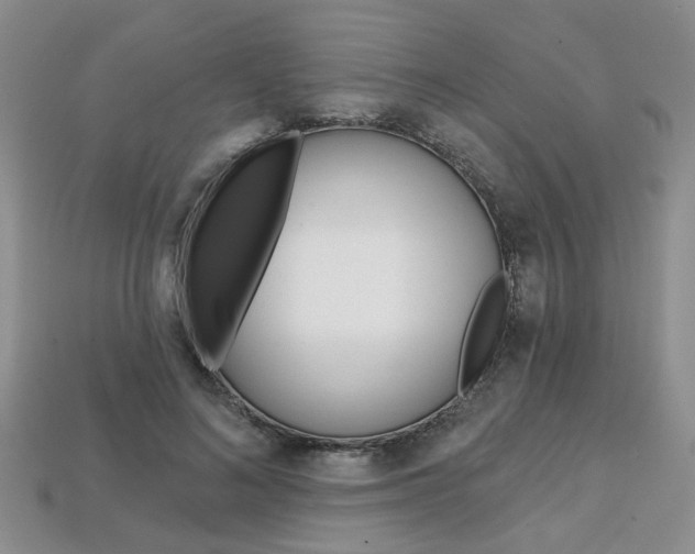 X0000113860692200909241026