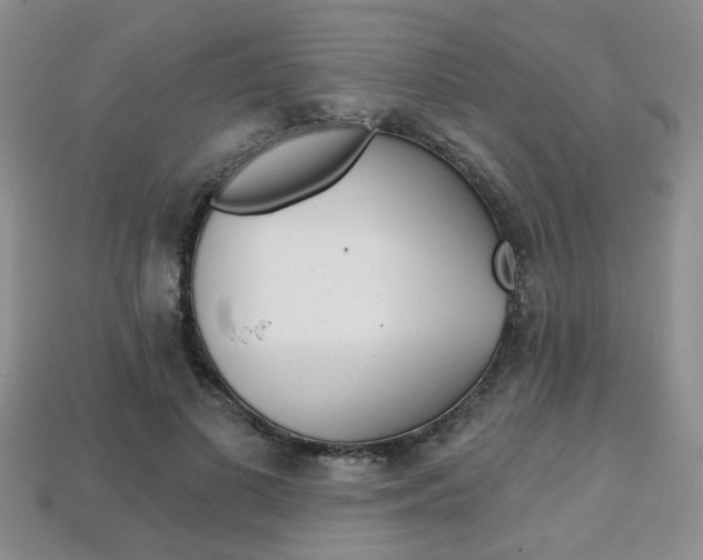 X0000113860693200909241025