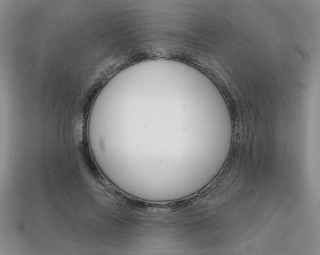X0000113860694200909241025