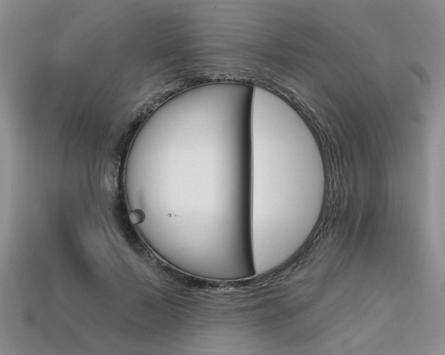 X0000113860695200909241025