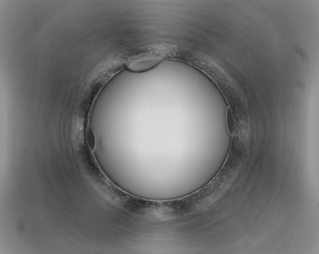 X0000113860696200909241025