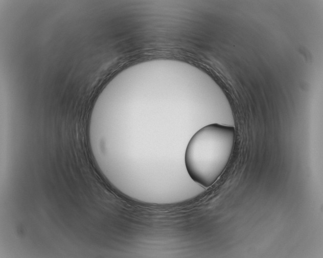 X0000113860697200909241025