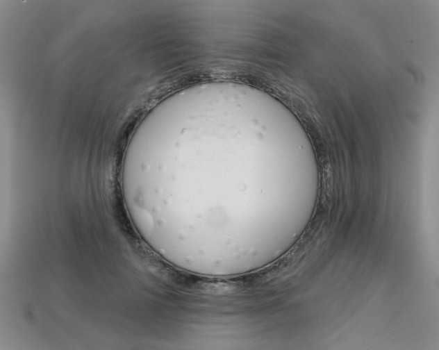 X0000113860698200909241025
