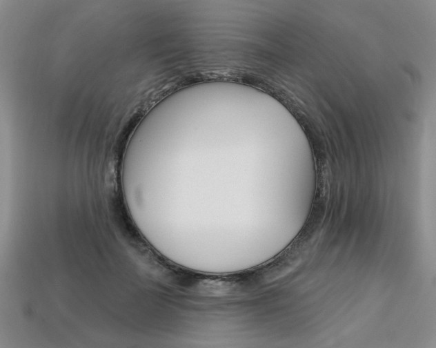 X0000113860699200909241025