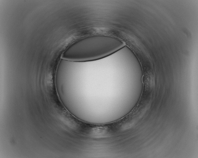 X0000113860700200909241025