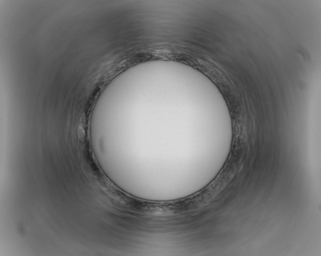 X0000113860702200909241025