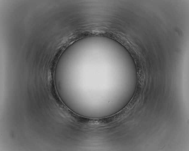 X0000113860704200909241025