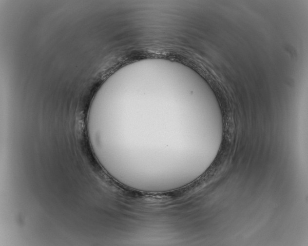 X0000113860707200909241025