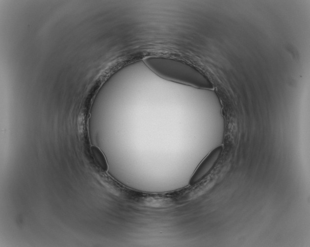 X0000113860708200909241025