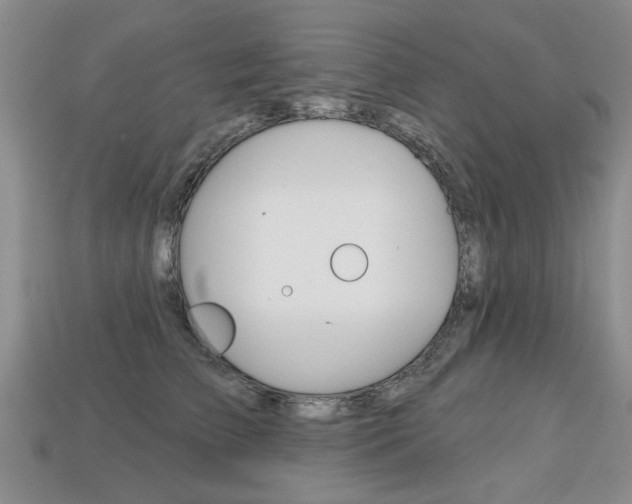 X0000113860709200909241025