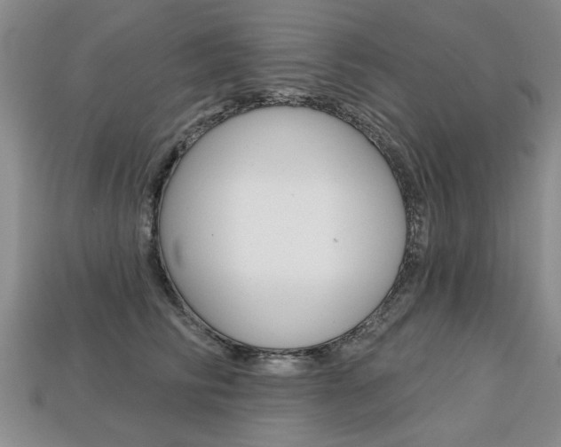 X0000113860710200909241025
