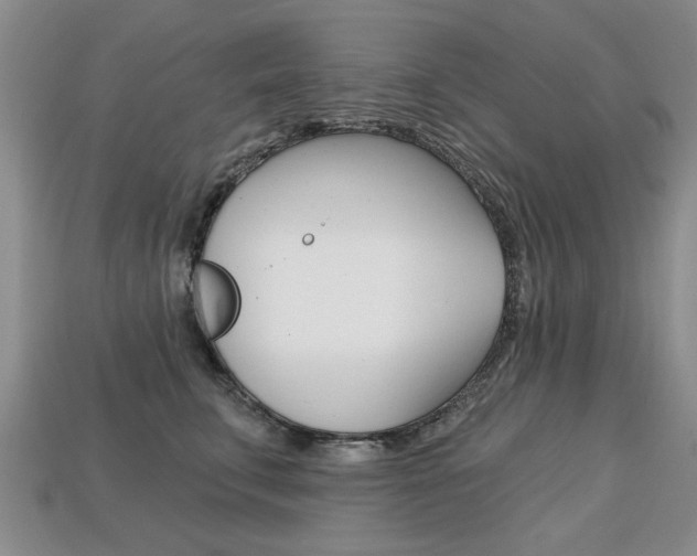X0000113860711200909241025