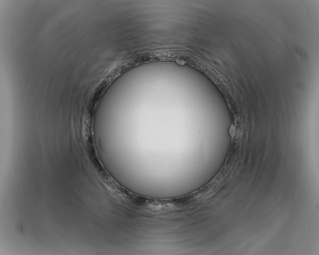 X0000113860712200909241025