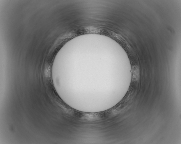 X0000113860713200909241025