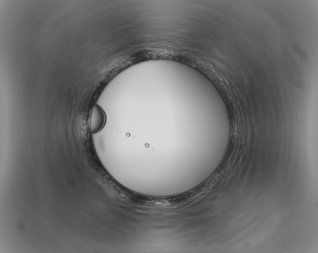 X0000113860715200909241025