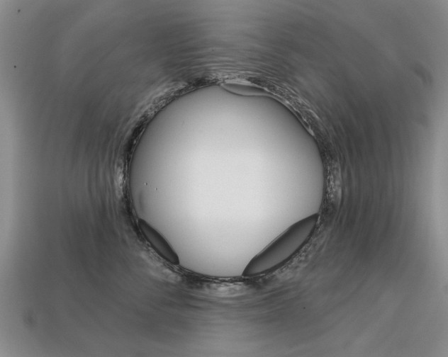 X0000113860716200909241025