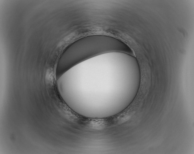 X0000113860720200909241025