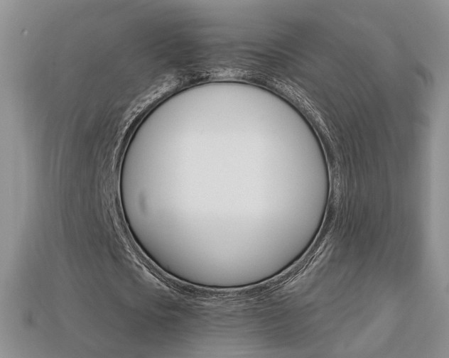 X0000113860721200909241025