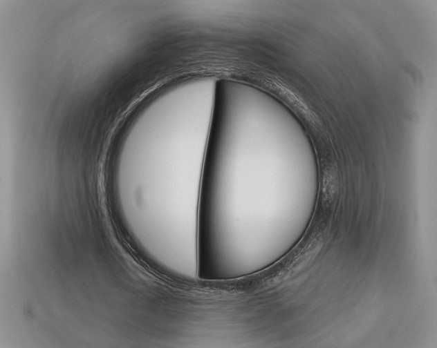 X0000113860722200909241025